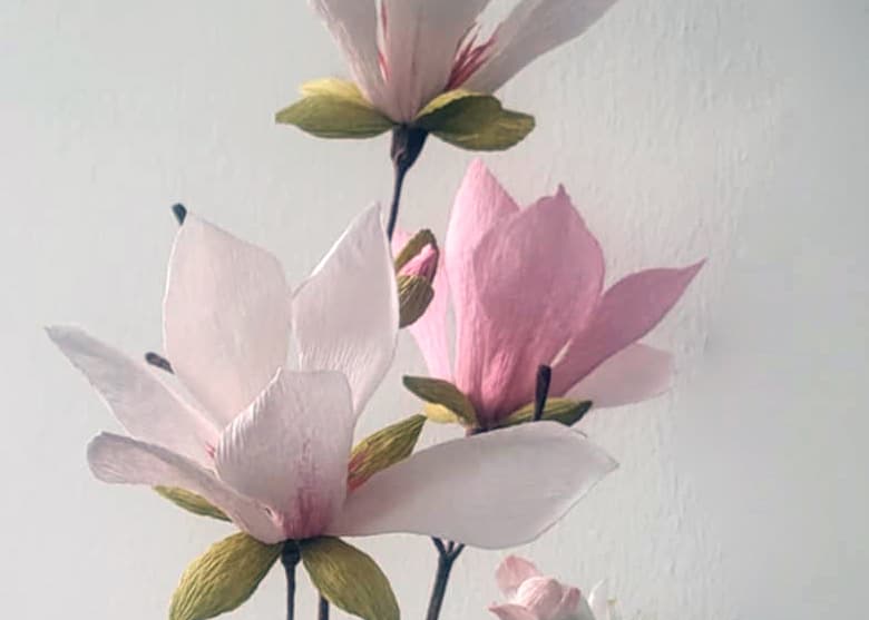 Magnolia i crepe papir