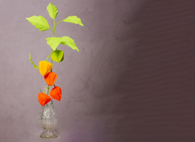 Japanske lygter i crepe papir