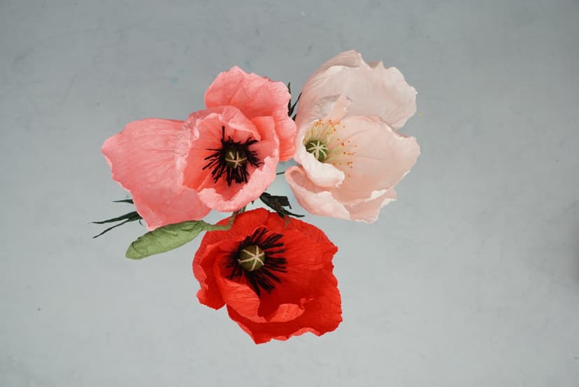 Workshop - Valmue i crepe papir